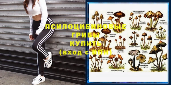 таблы Аркадак