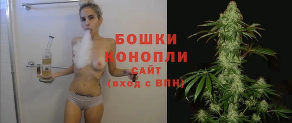 трава Арсеньев