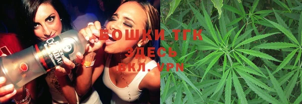 метадон Горнозаводск